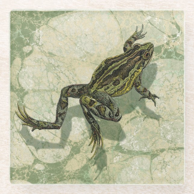 Toad Swinning in the Water Glass Coaster (Front)