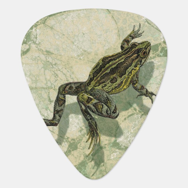Toad Swinning in the Water Guitar Pick (Front)