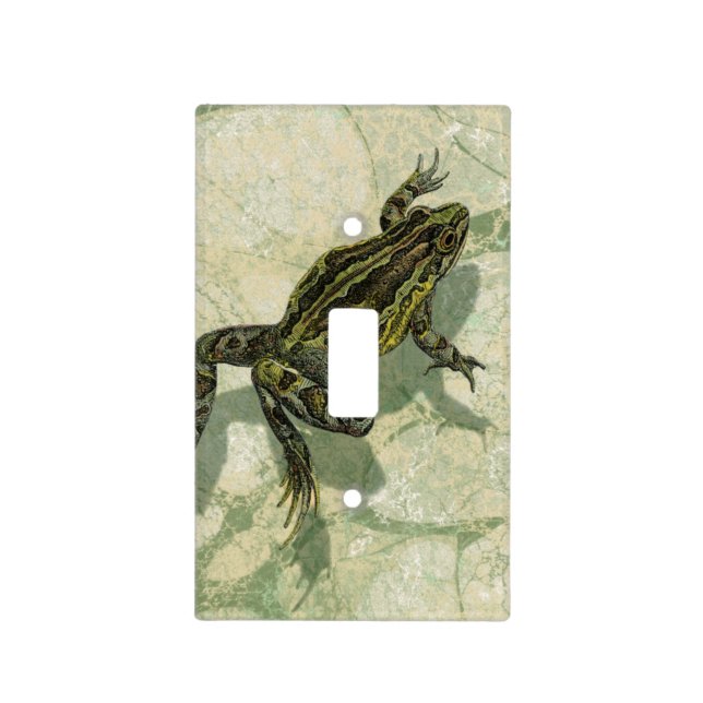 Toad Swinning in the Water Light Switch Cover (Front)