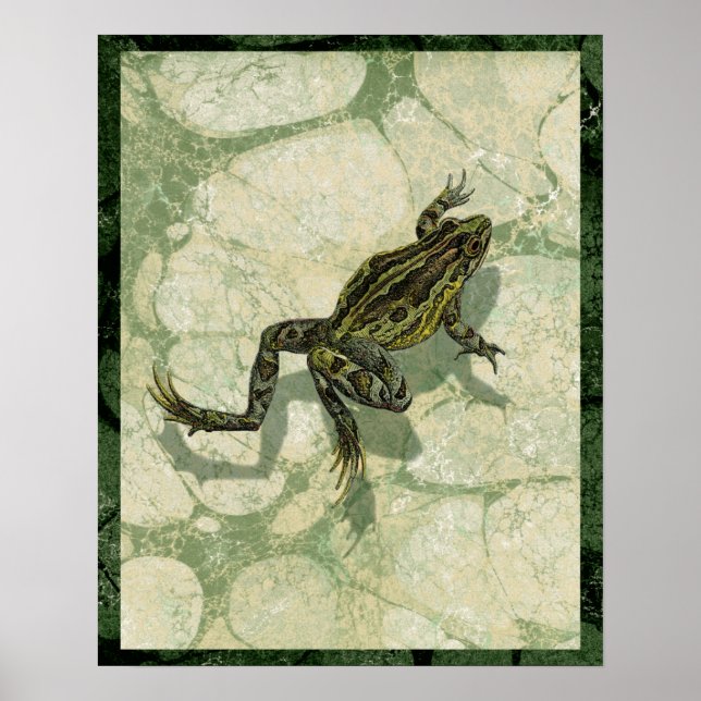 Toad Swinning in the Water Poster (Front)