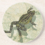 Toad Swinning in the Water Sandstone Coaster