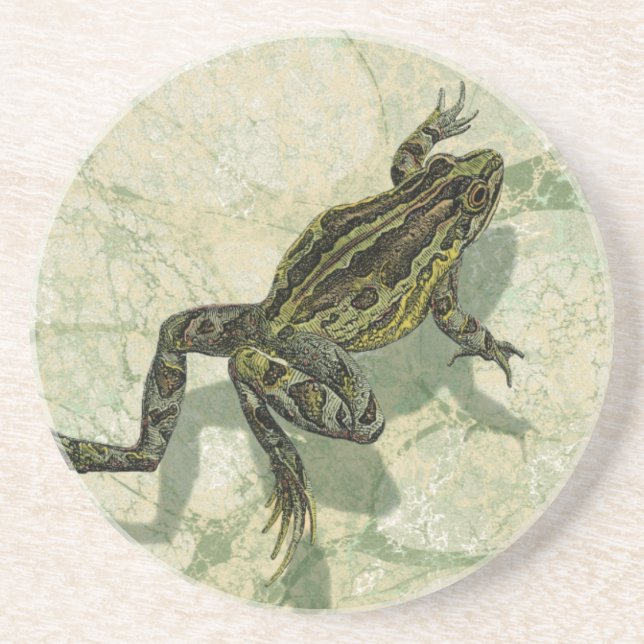 Toad Swinning in the Water Sandstone Coaster (Front)