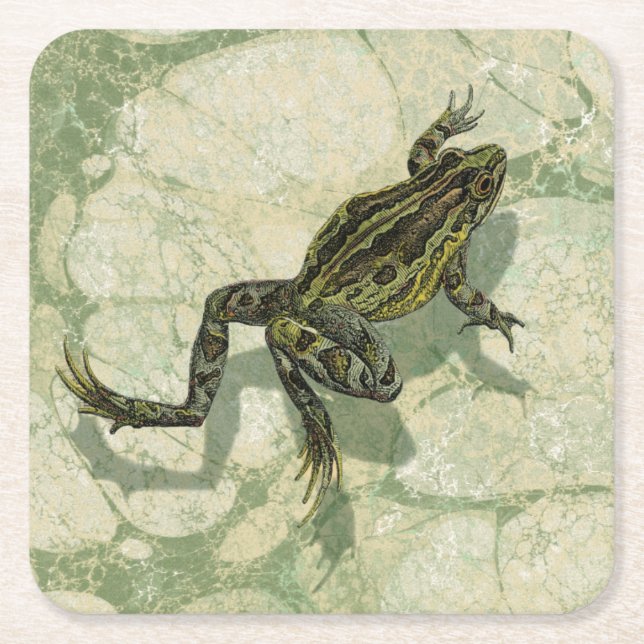 Toad Swinning in the Water Square Paper Coaster (Front)