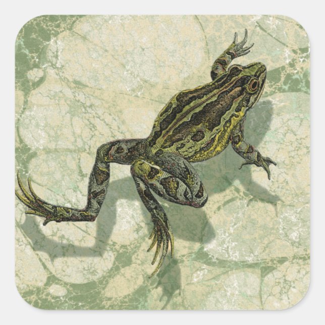 Toad Swinning in the Water Square Sticker (Front)
