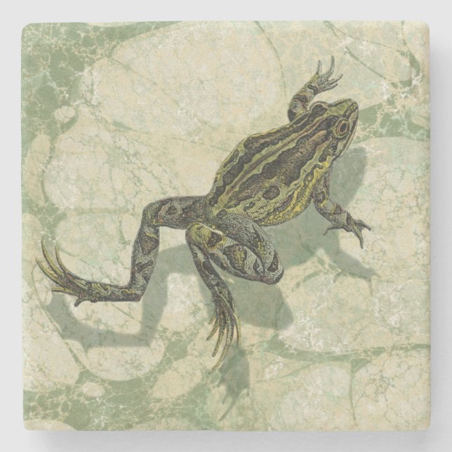 Toad Swinning in the Water Stone Coaster (Front)