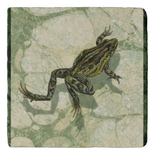 Toad Swinning in the Water Trivet