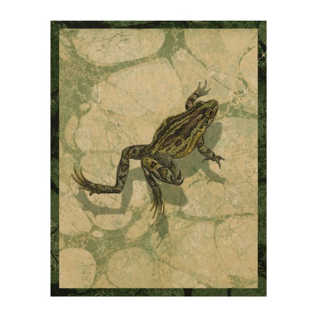 Toad Swinning in the Water Wood Wall Art (Front)