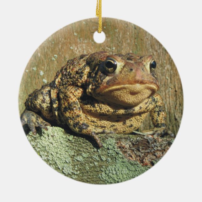 Toadly Awesome Toad Christmas Ornament (Back)