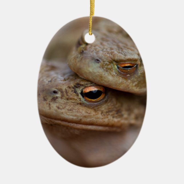 Toads “The Ugly Couple” Ornament (Front)