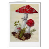 Toadstool (Front)