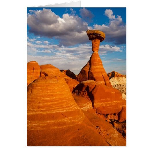 Toadstool Afternoon (Front)