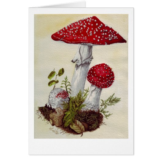 Toadstool Cards (Front)