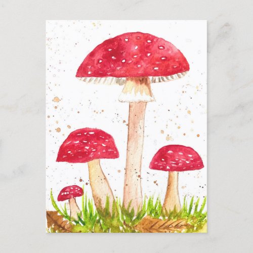 Toadstool Mushroom Forest watercolor Red Nature Postcard