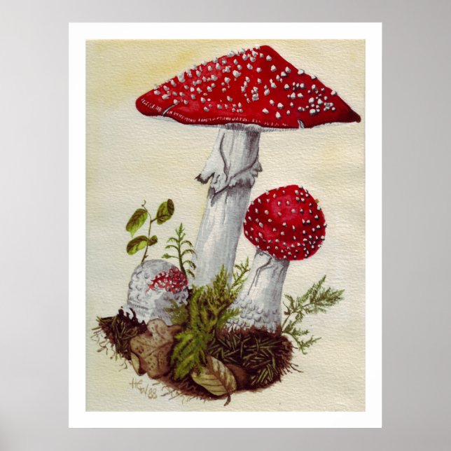 Toadstool Poster (Front)