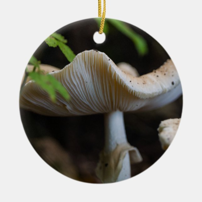 Toadstool Umbrella Ceramic Ornament (Front)