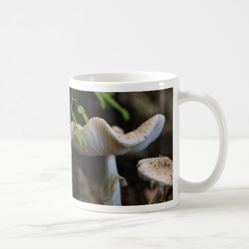 Toadstool Umbrella Coffee Mug