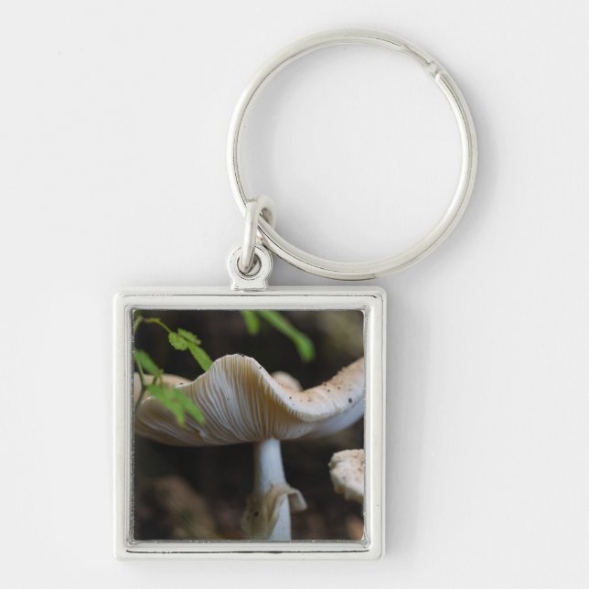 Toadstool Umbrella Keychain (Front)