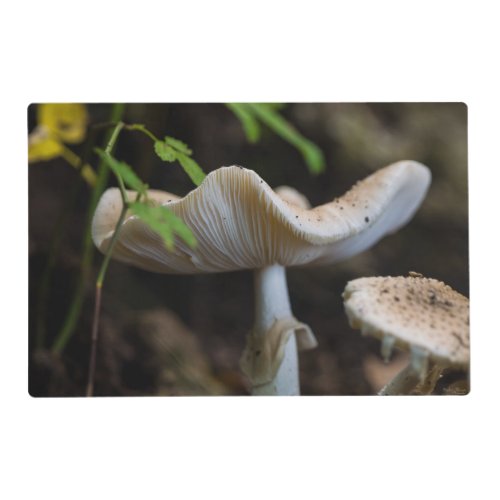 Toadstool Umbrella Placemat