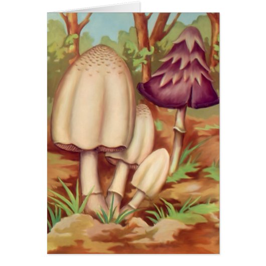 Toadstools 1 cards (Front)