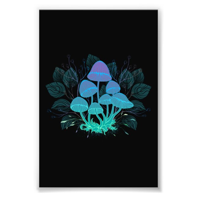 Toadstools in Bushes Photo Print (Front)