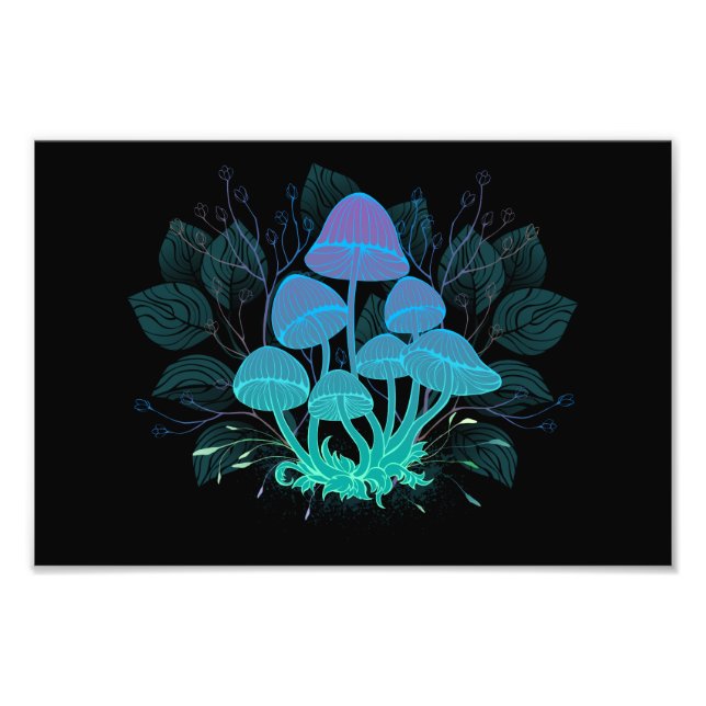 Toadstools in Bushes Photo Print (Front)