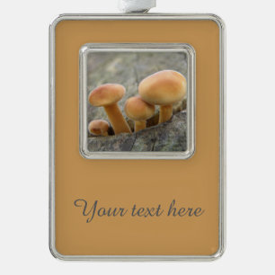 Toadstools on a Tree Trunk Custom Ornament