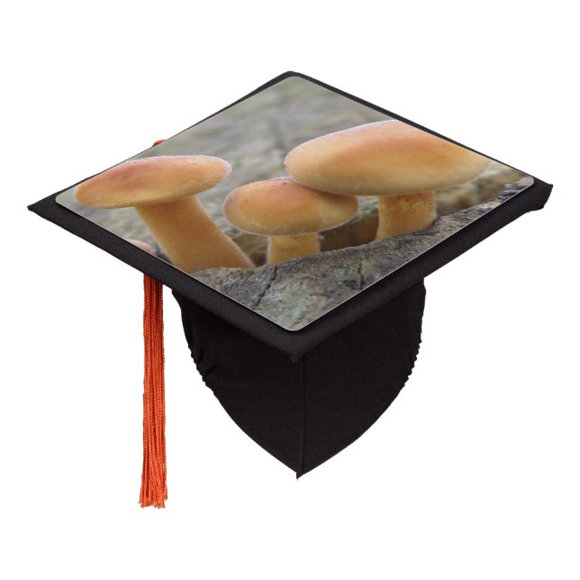 Toadstools on a Tree Trunk Graduation Cap Topper (Angled)