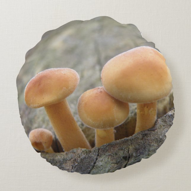 Toadstools on a Tree Trunk Pillow (Back)