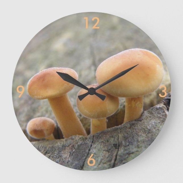 Toadstools on a Tree Trunk Wall Clock (Front)