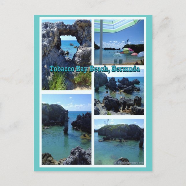 Tobacco Bay Beach, Bermuda Postcard (Front)