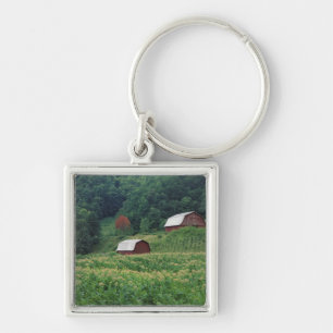 Tobacco crop and pair of red tobacco barns near keychain