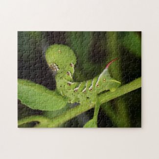 Tobacco Hornworm Caterpillar Tomato Plant Puzzle