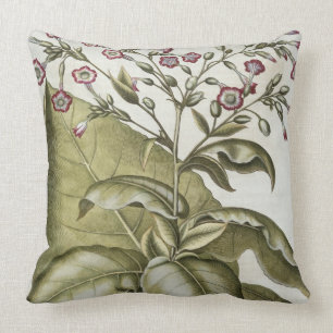 Tobacco plant, from the 'Hortus Eystettensis' by B Throw Pillow