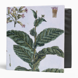 Tobacco plant, plate 7, from 'Collection Precieuse 3 Ring Binder