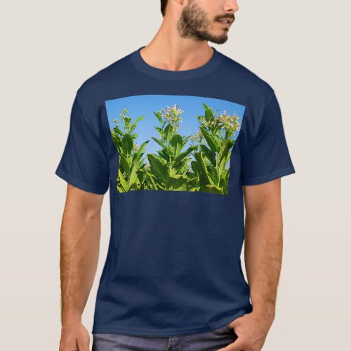 Tobacco plant with flower field T_Shirt