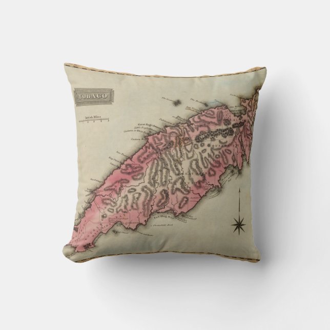 Tobago Throw Pillow (Front)