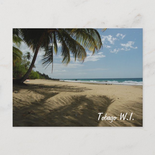 Tobago W.I. Postcard (Front)