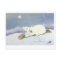 Tobogganing Polar Bear