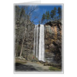 Toccoa Falls at Zazzle