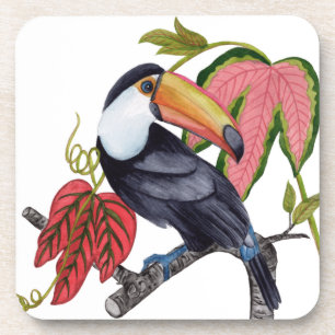 Toco Toucan Beverage Coaster