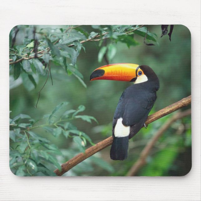 Toco Toucan Bird Mousepad (Front)