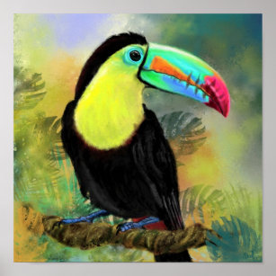 Toco Toucan Bird Poster Painting