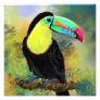 Toco Toucan Bird Watercolor Painting Poster Print