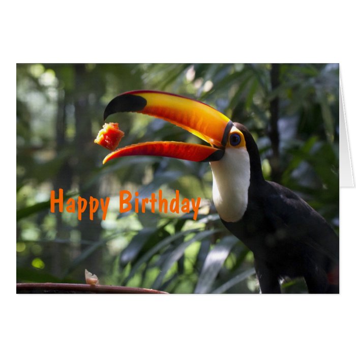 Toco Toucan Birthday Card