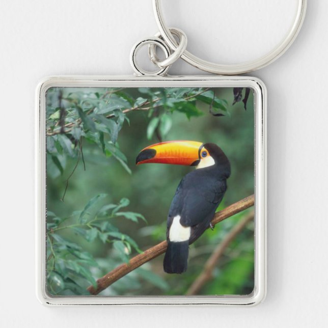 TOCO TOUCAN PHOTO FULL COLOR KEYCHAIN (Front)