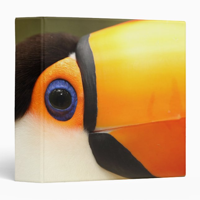 Toco Toucan (Ramphastos toco) is the largest Binder (Front/Spine)