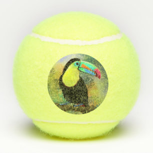 Toco Toucan Tennis Balls