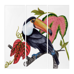 Toco Toucan Triptych
