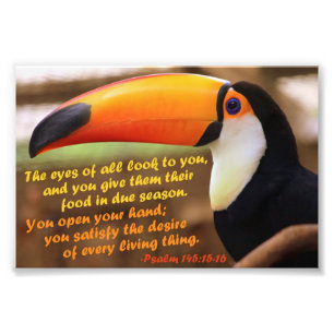Toco Toucan with Psalm 145:15-16 Photo Print