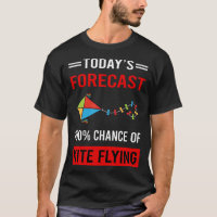 Today Forecast Kite Flying